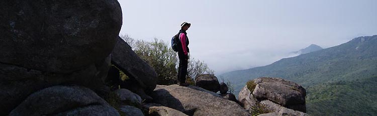 www.jangbh.com